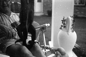 %_tempFileNameMonty322%